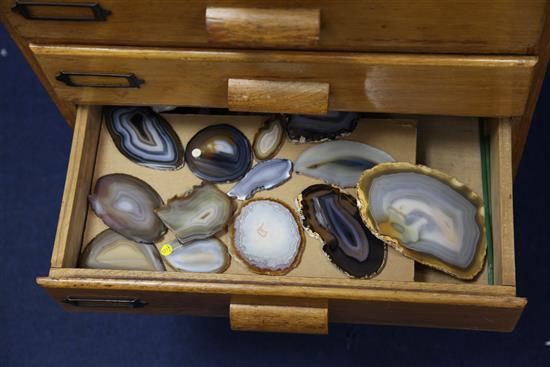 A collectors chest of beetles, mineral and fossil specimens, 3ft 5in.